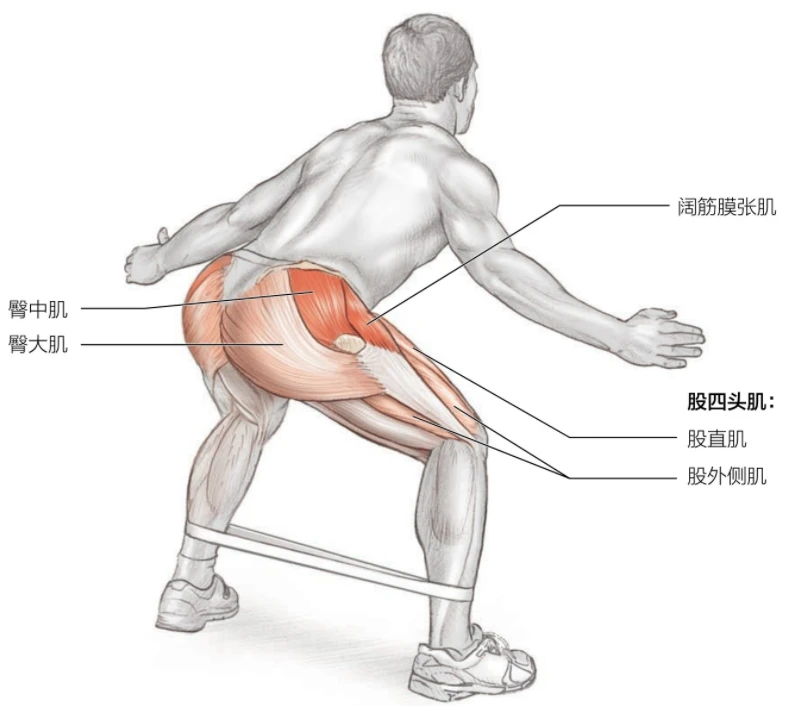 篮球双人训练计划怎么写_2